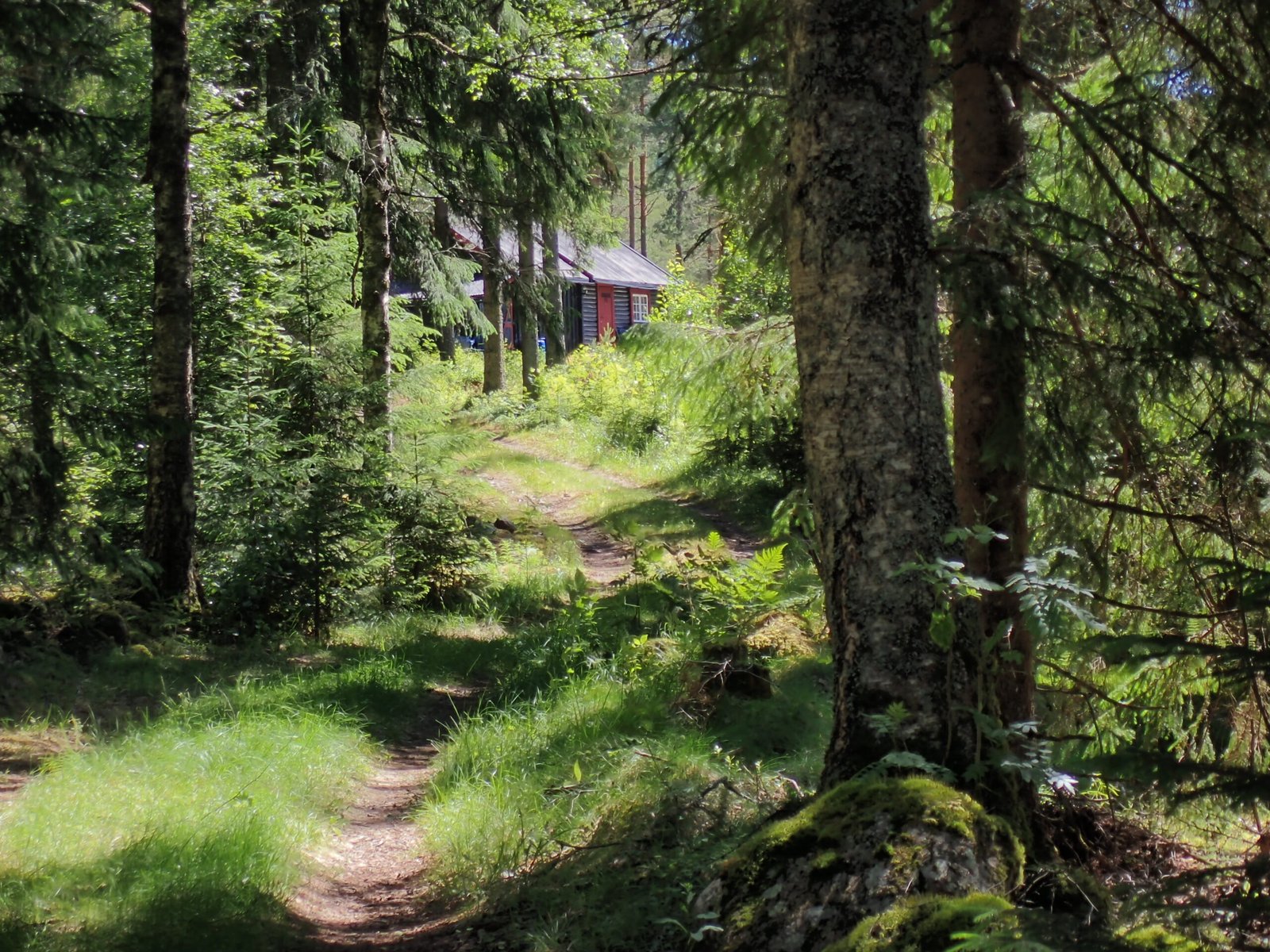 Sti ved Brennatjernet